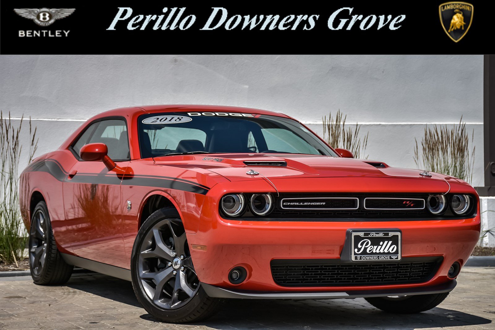 pre owned dodge challenger